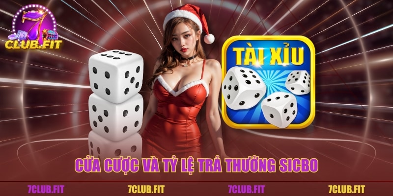 Cửa cược và tỷ lệ trả thưởng Sicbo