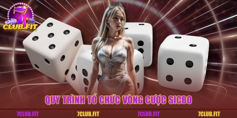 Quy trình tổ chức vòng cược Sicbo